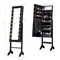 Costway Mirrored Jewelry Cabinet Organizer w/18 LED lights Black